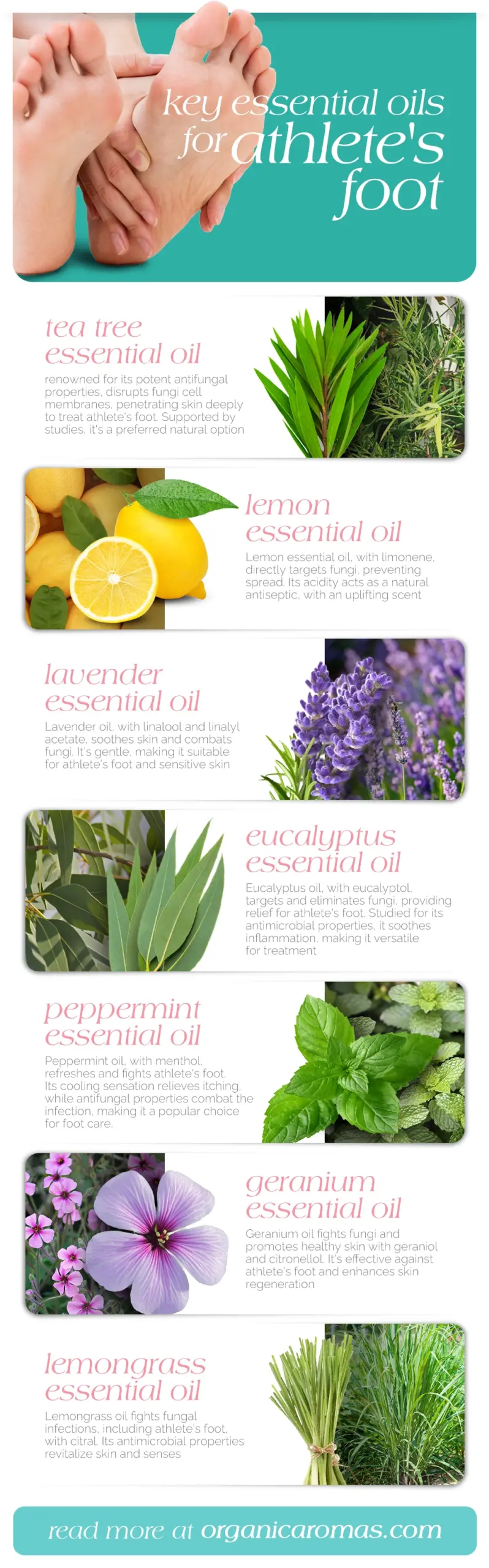 Key Essential Oils for Athletes Foot Infographic by Organic Aromas