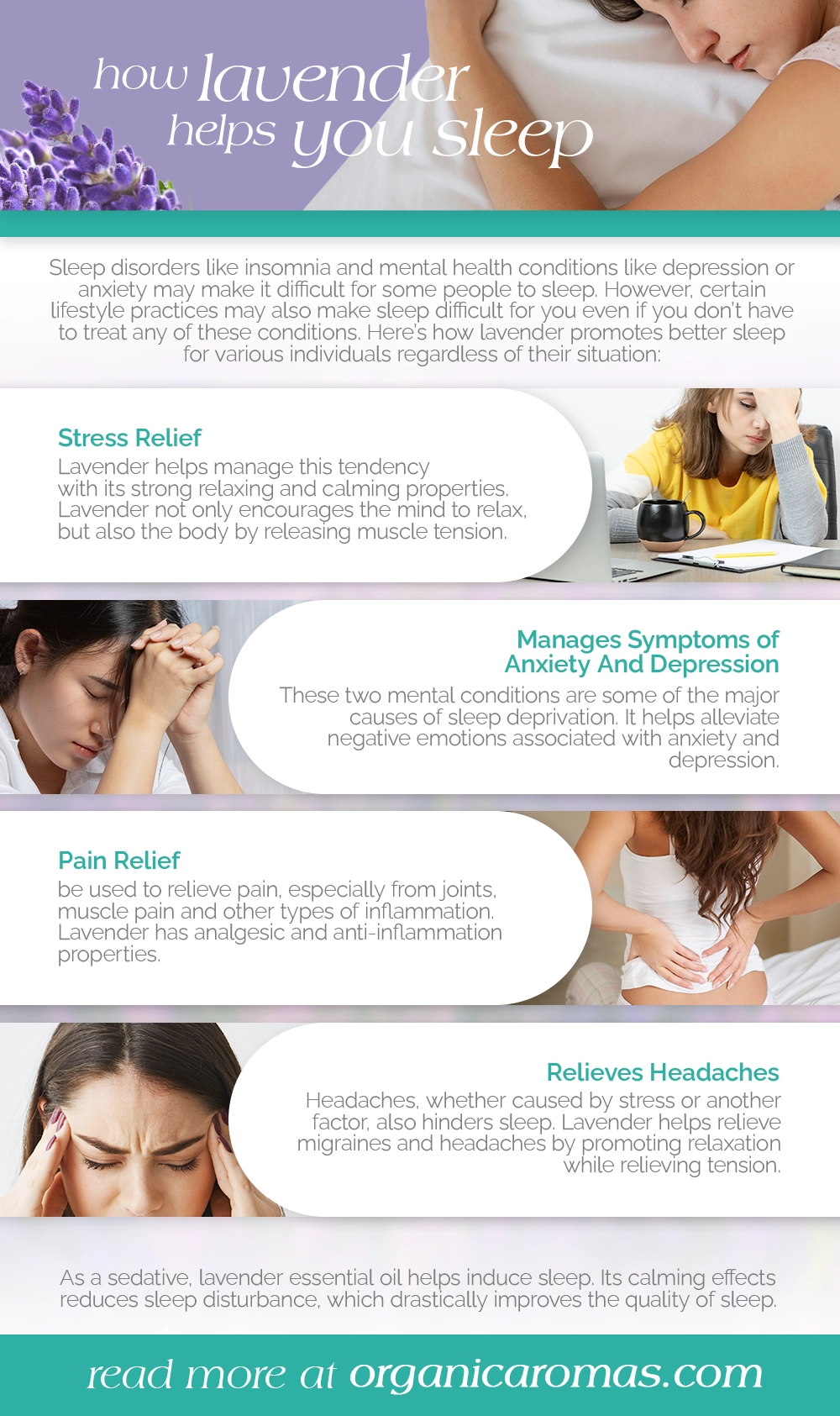 How Lavender Helps You Sleep Infographic by Organic Aromas