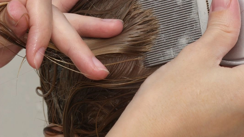 close up photo of a woman doing using nit comb