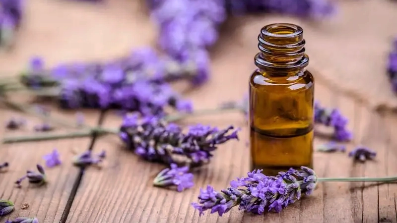 photo of essential oils on the top of a wooden table and lots of lavender lying around it