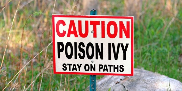 poison ivy stay on path
