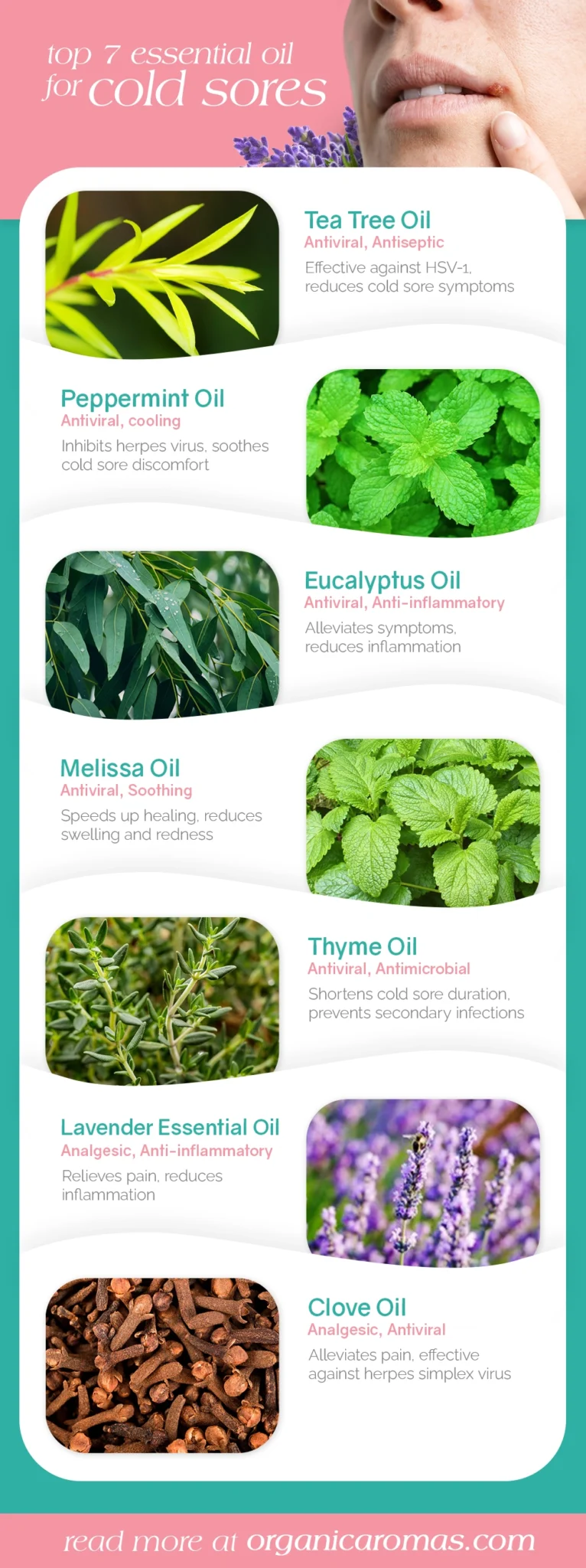 top 7 Essential Oil for Cold Sore Tea Tree Oil, Peppermint Oil, Eucalyptus Oil, Melissa Oil, Thyme Oil, Lavender Essential Oil, Clove Oil Infographic By Organic Aromas