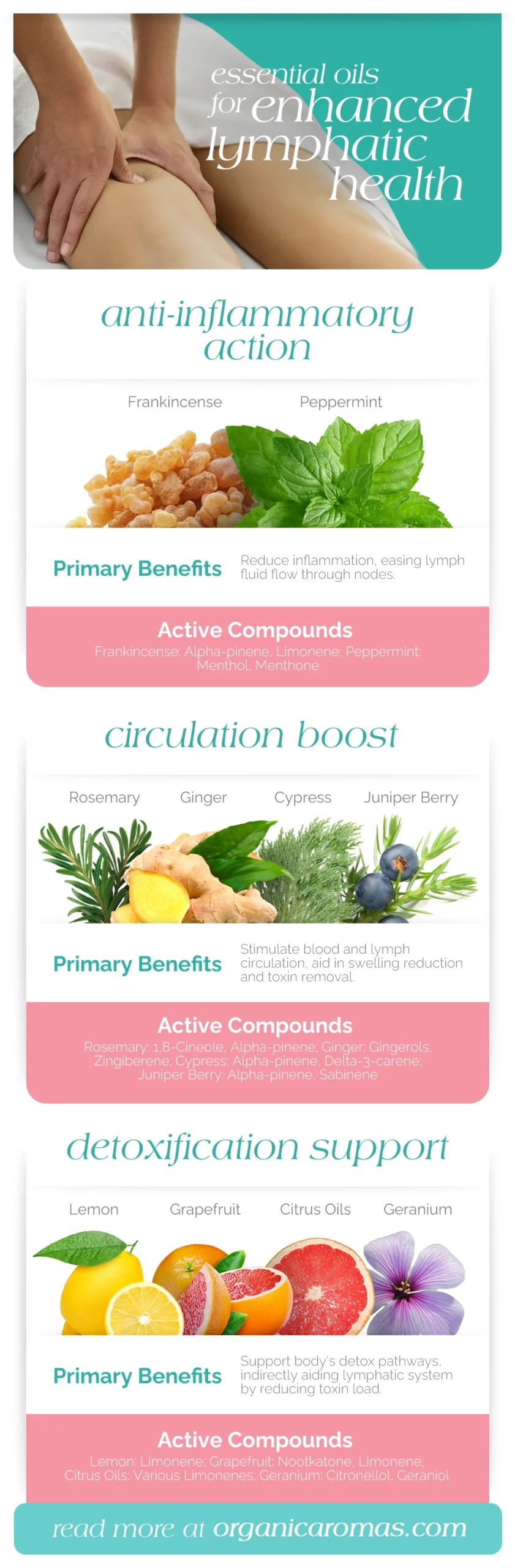 Essential Oils for Enhanced Lymphatic Health Infographic by organic Aromas