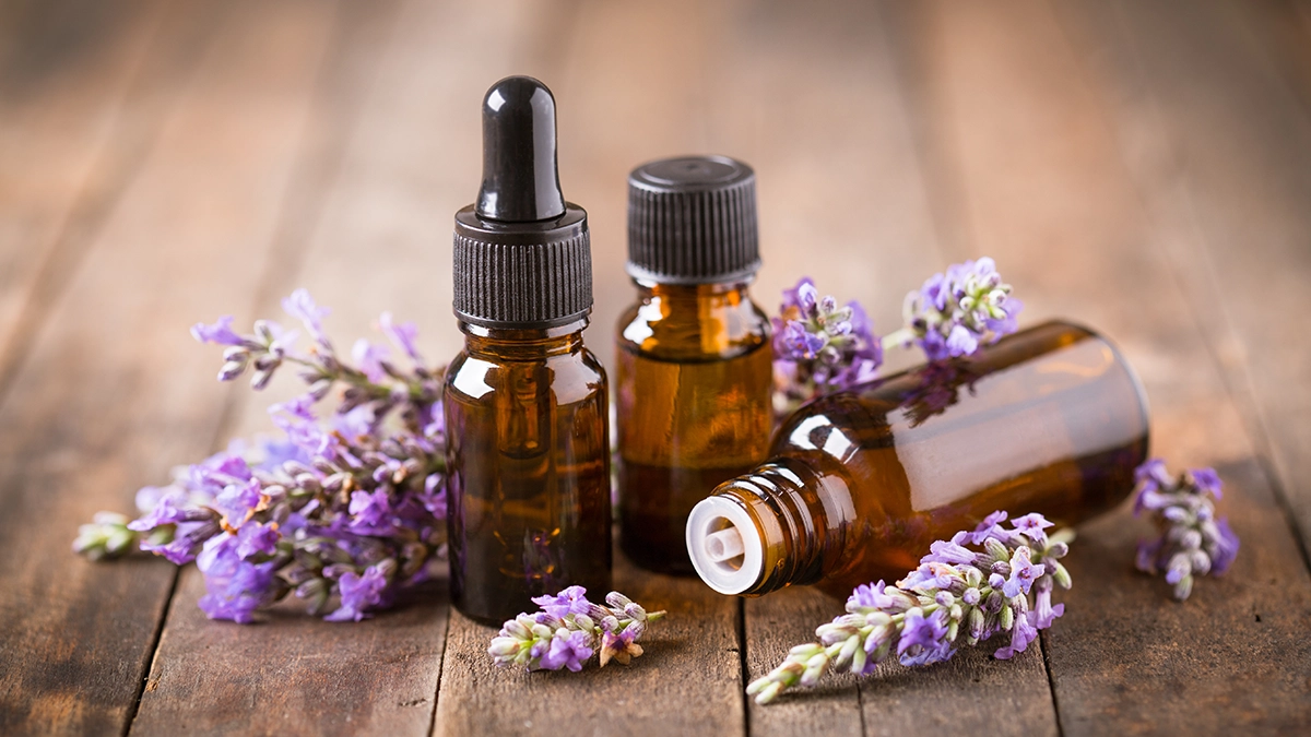 Three small bottles of essential oil surrounded by fresh lavender flowers on a wooden surface, commonly used for natural bed bug repellent