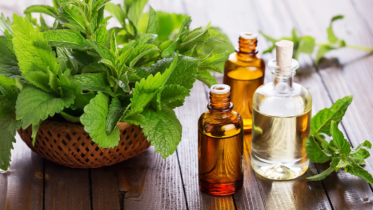 essential oils, particularly peppermint and ginger oils, that can help relieve stomach pain. Fresh mint leaves in a basket next to bottles of essential oils on a wooden table