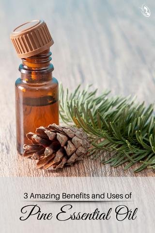 3 Amazing Benefits and Uses of Pine Essential Oil