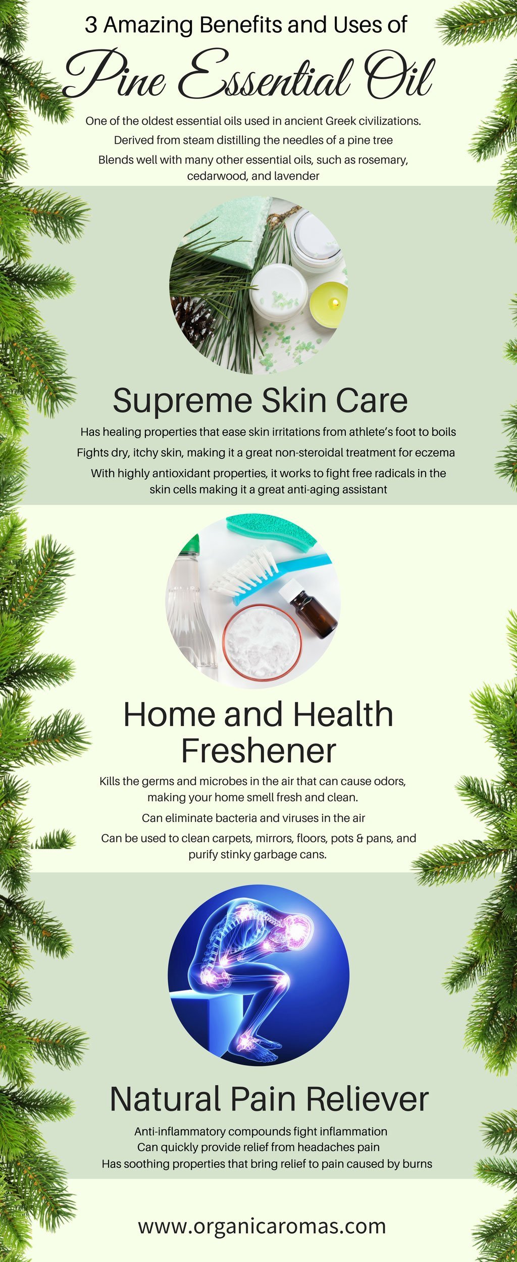 3 Amazing Benefits and Uses of Pine Essential Oil