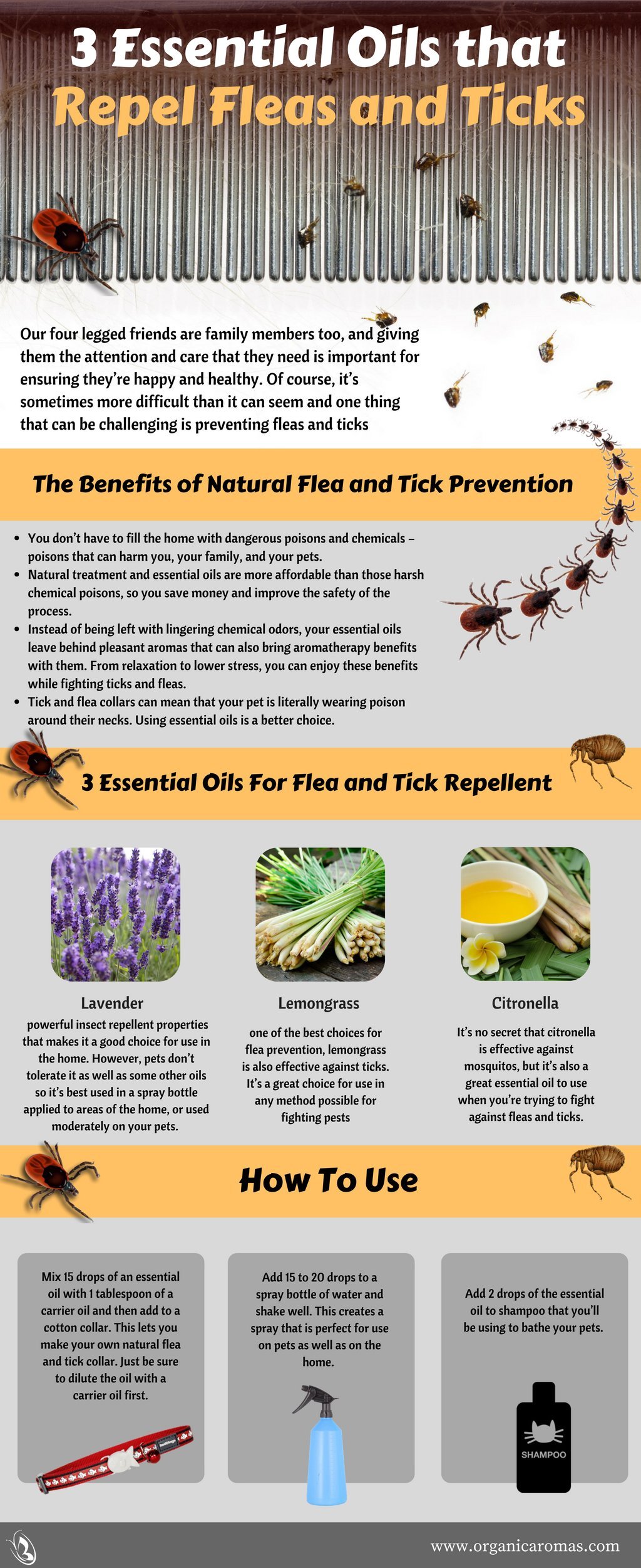 3 Essential Oils to Prevent Fleas and Ticks Info-graphic