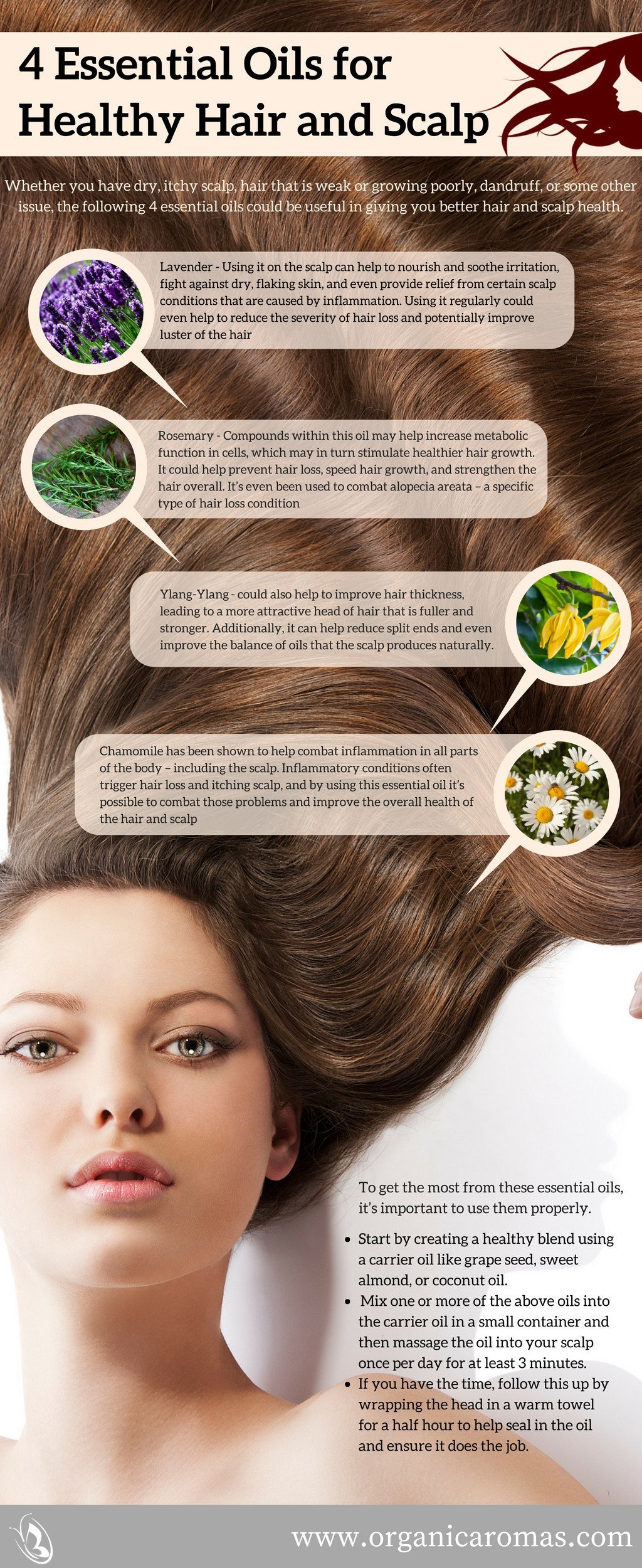 Essential Oils for Healthy Hair and Scalp Info-graphic