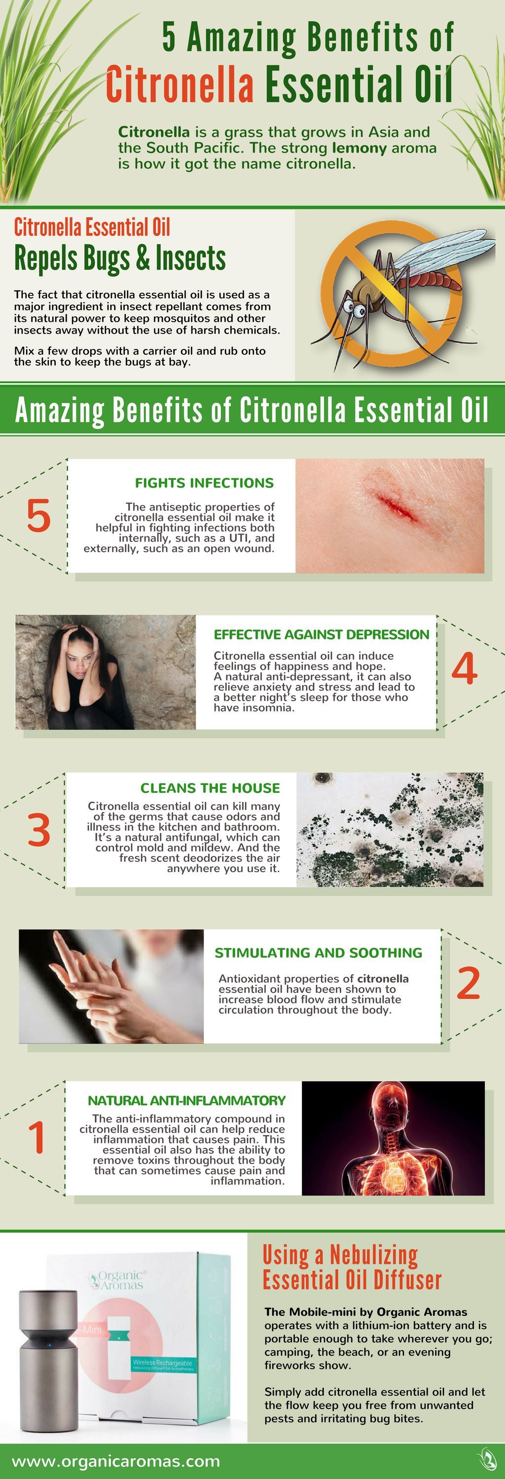5 Amazing Benefits of Citronella Essential Oil