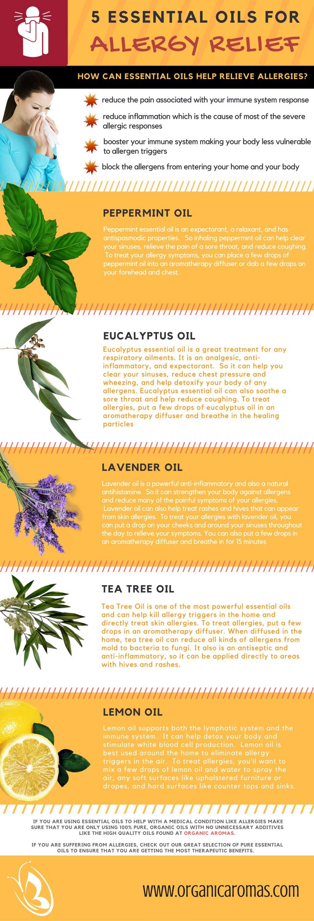 5 Essential Oils For Allergy Relief Infographic