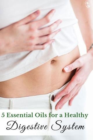 5 Essential Oils for a Healthy Digestive System