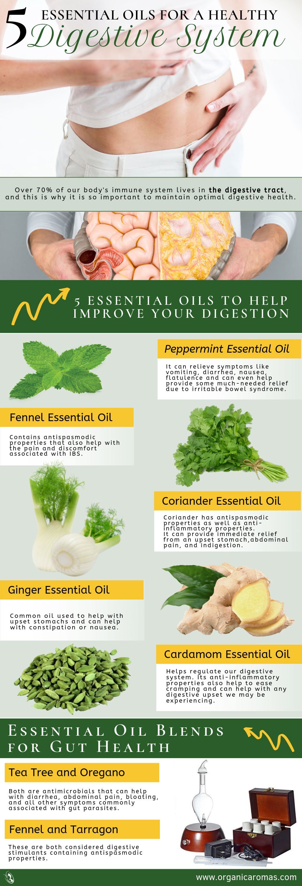 5 Essential Oils for a Healthy Digestive System