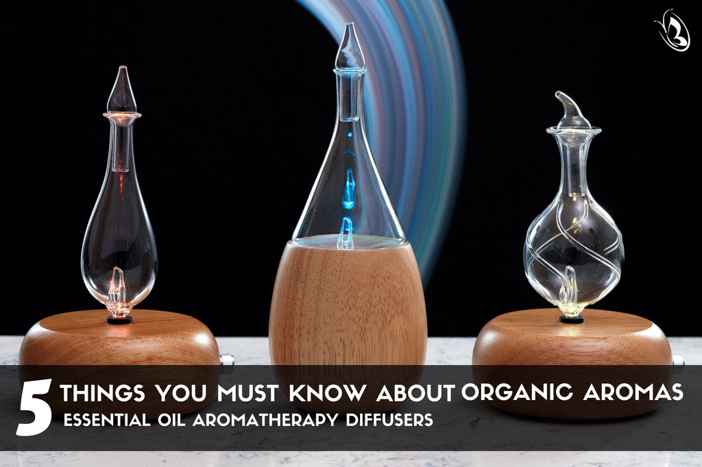 5 things you must know about Organic Aromas Diffusers