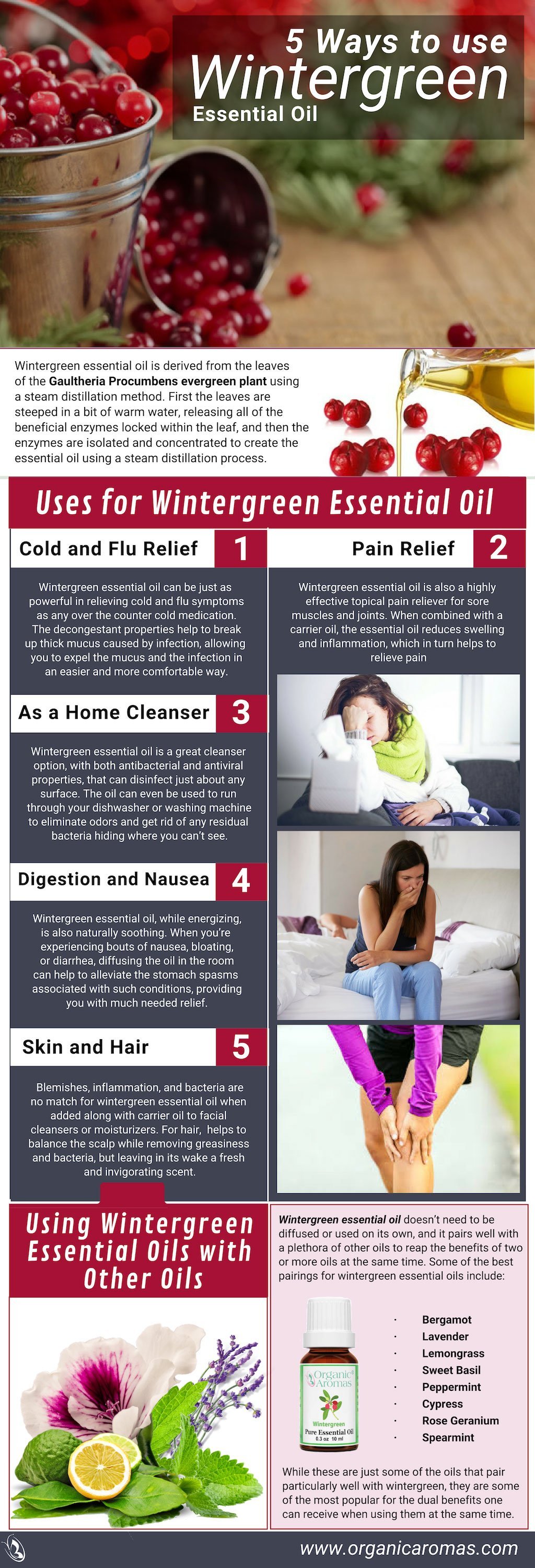 5 Ways to use Wintergreen Essential Oil 