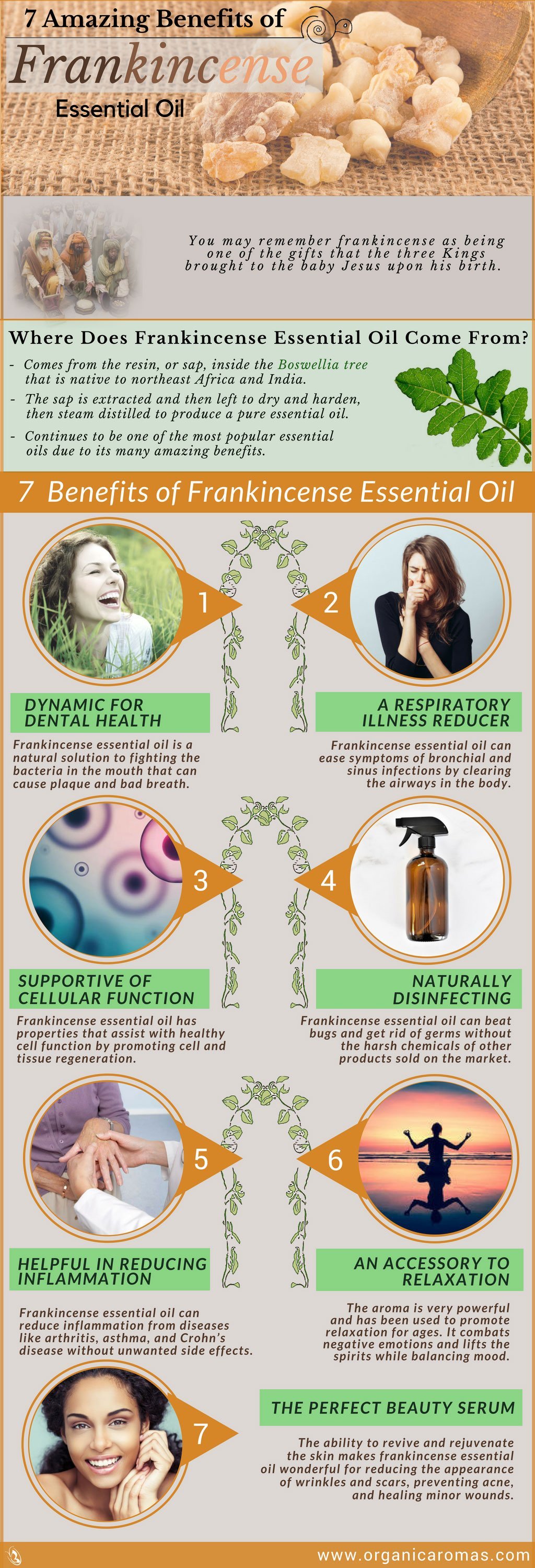 7 Amazing Benefits of Frankincense Essential Oil
