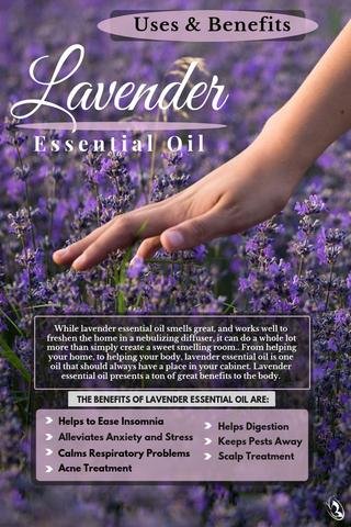7 Benefits of Lavender Essential Oil