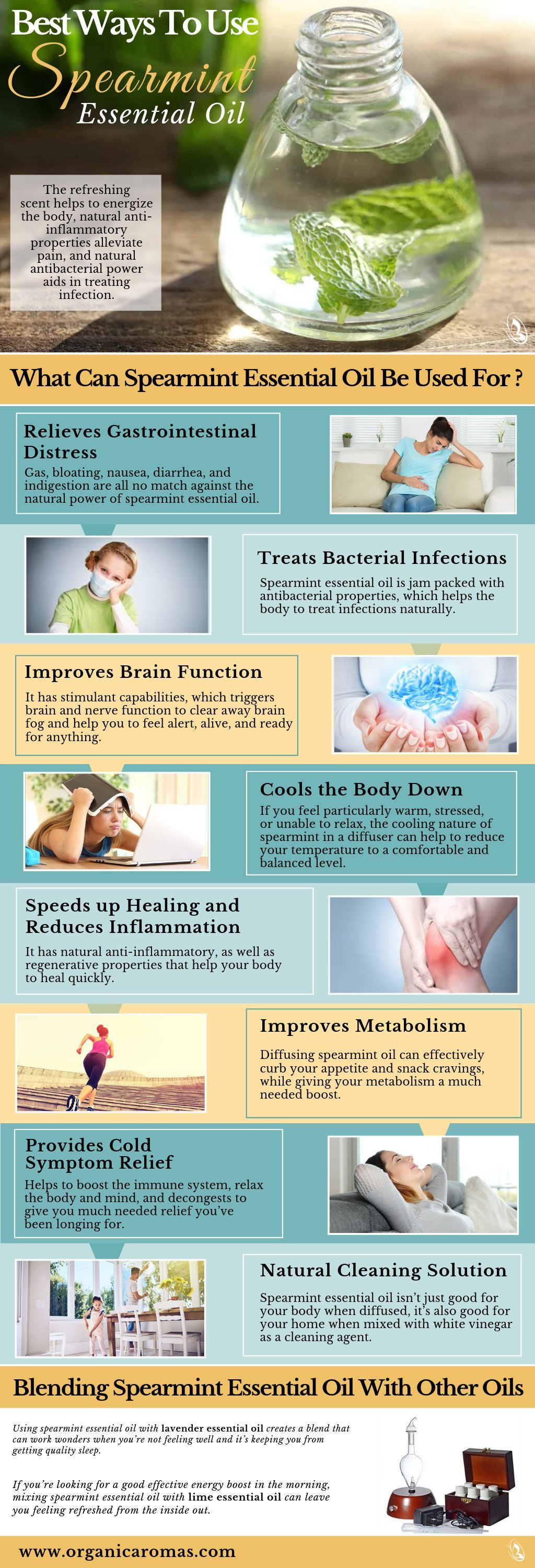 Best Ways to Use Spearmint Essential Oil 