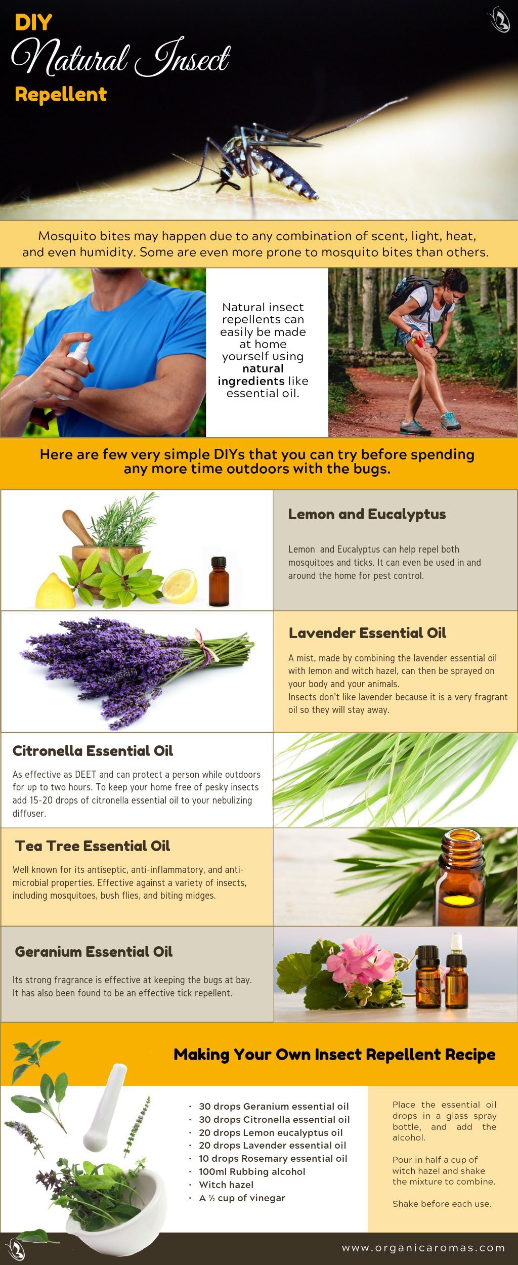 DIY Natural Insect Repellent