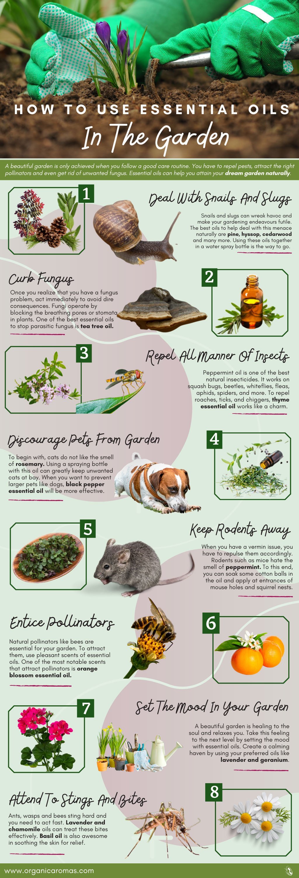 How To Use Essential Oils In The Garden