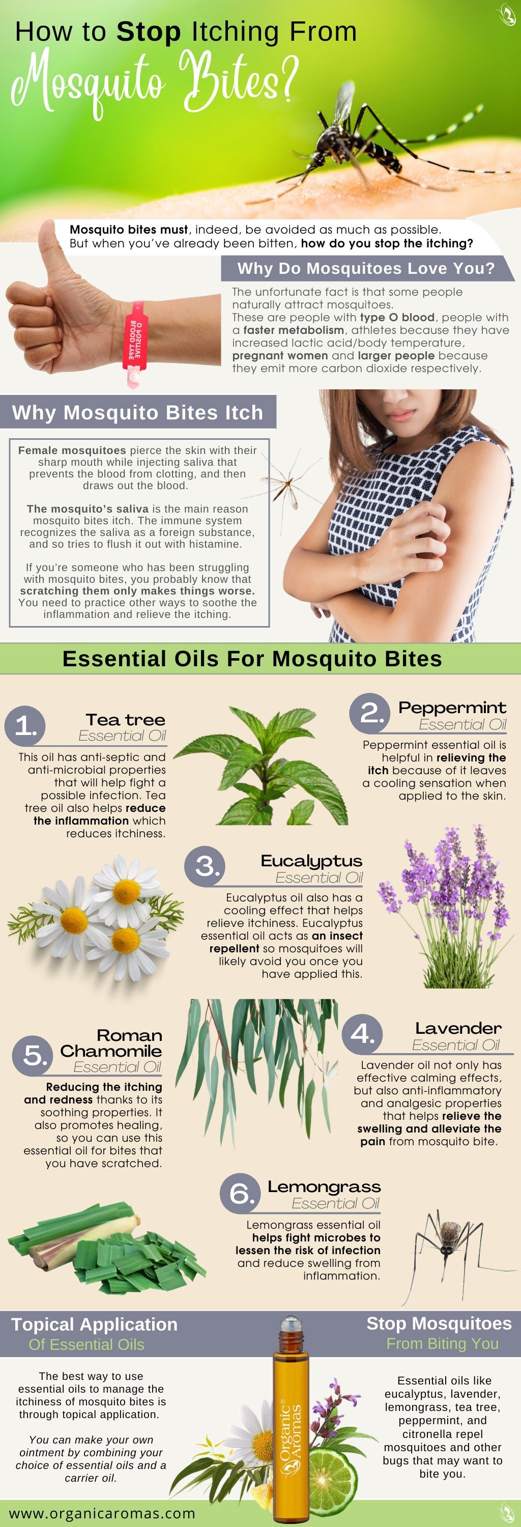 How to Stop Itching From Mosquito Bites?