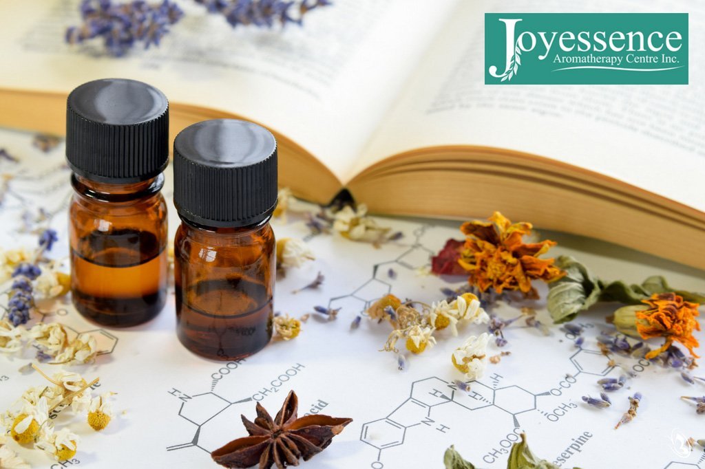 Organic Aromas Interview with Daniel Almeida