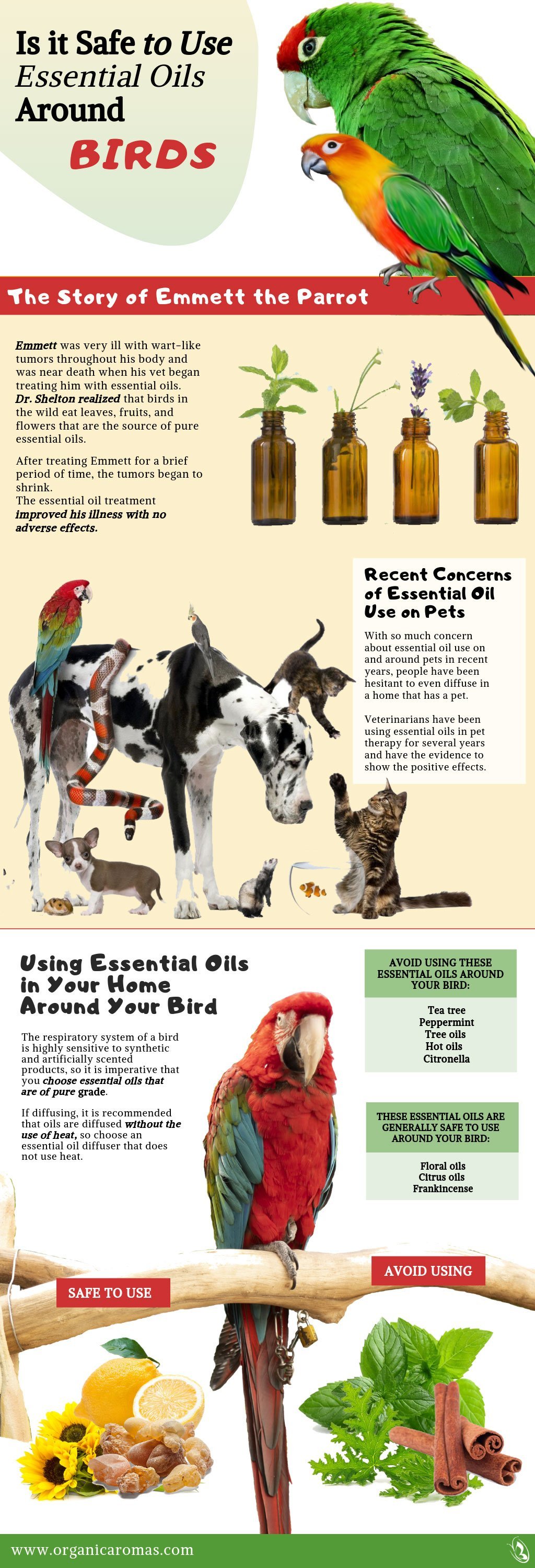 Is it Safe to Use Essential Oils Around Birds