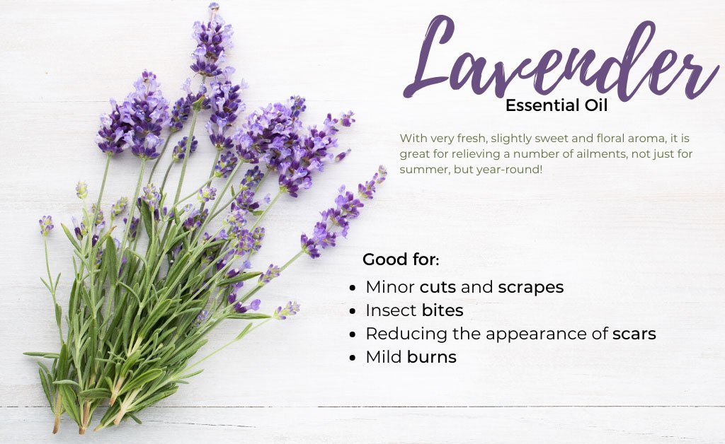 Lavender Essential Oil