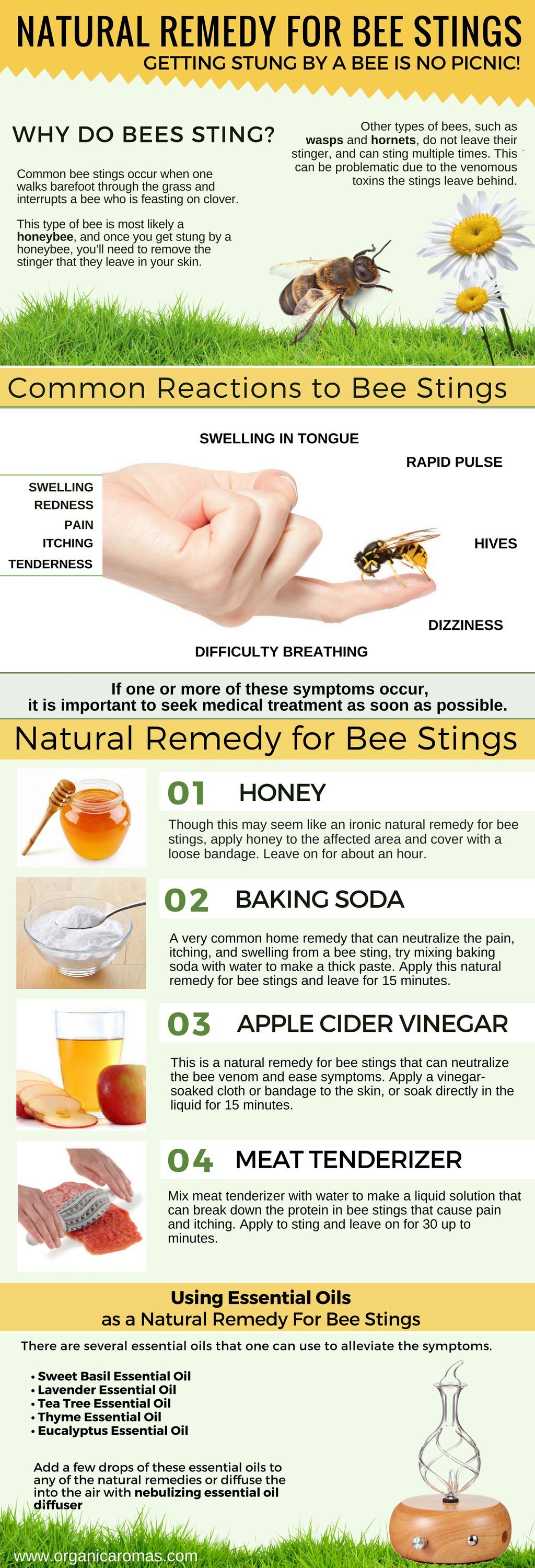 Natural Remedy for Bee Stings