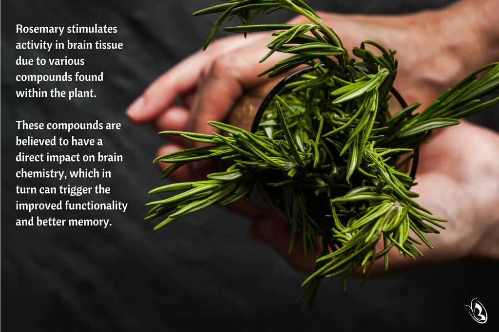 Rosemary and Memory by Organic Aromas