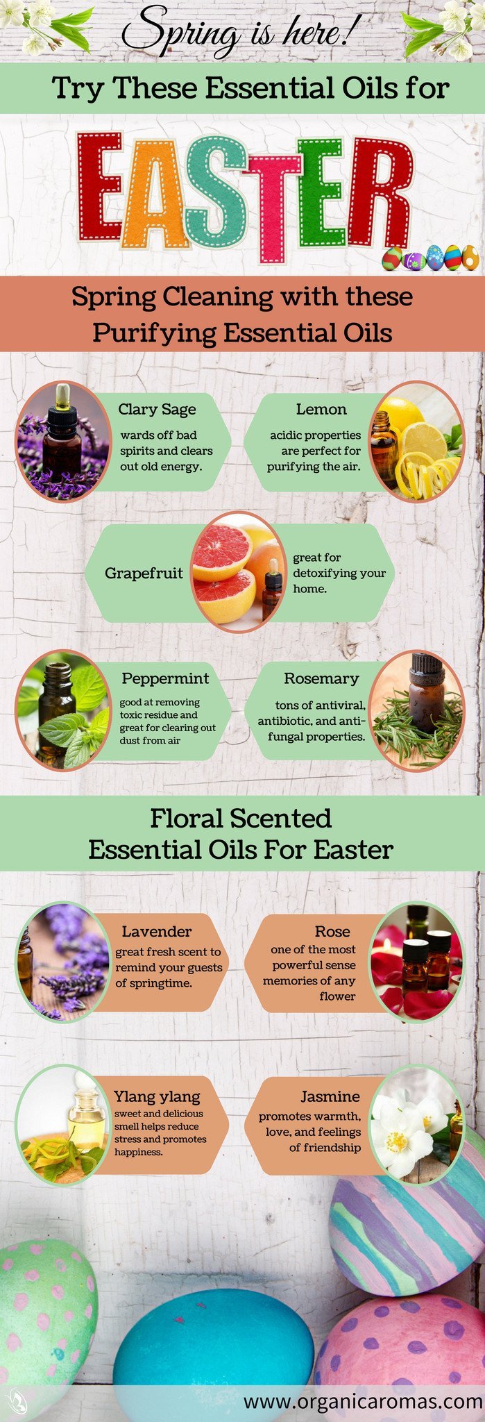 Essential Oils for Easter Infographic