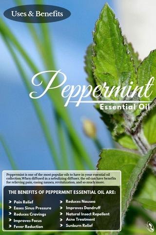 Top 10 Peppermint Oil Benefits and Uses 