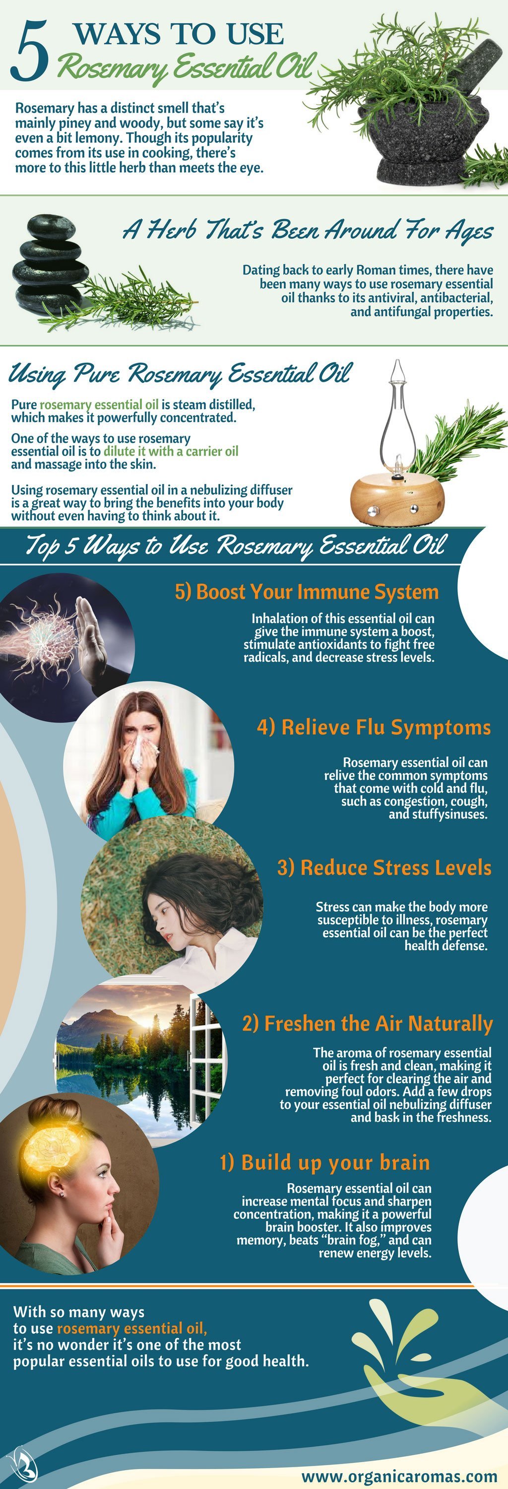 Top 5 Ways to Use Rosemary Essential Oil