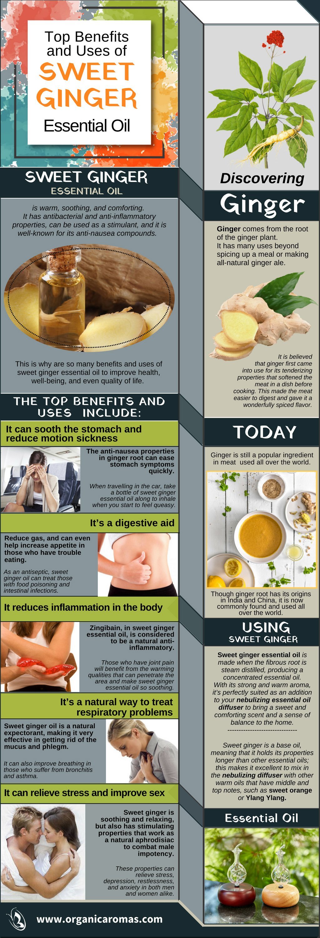 Top Benefits and Uses of Sweet Ginger Essential Oil