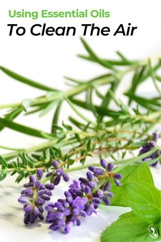 Using Essential Oils to Clean the Air 