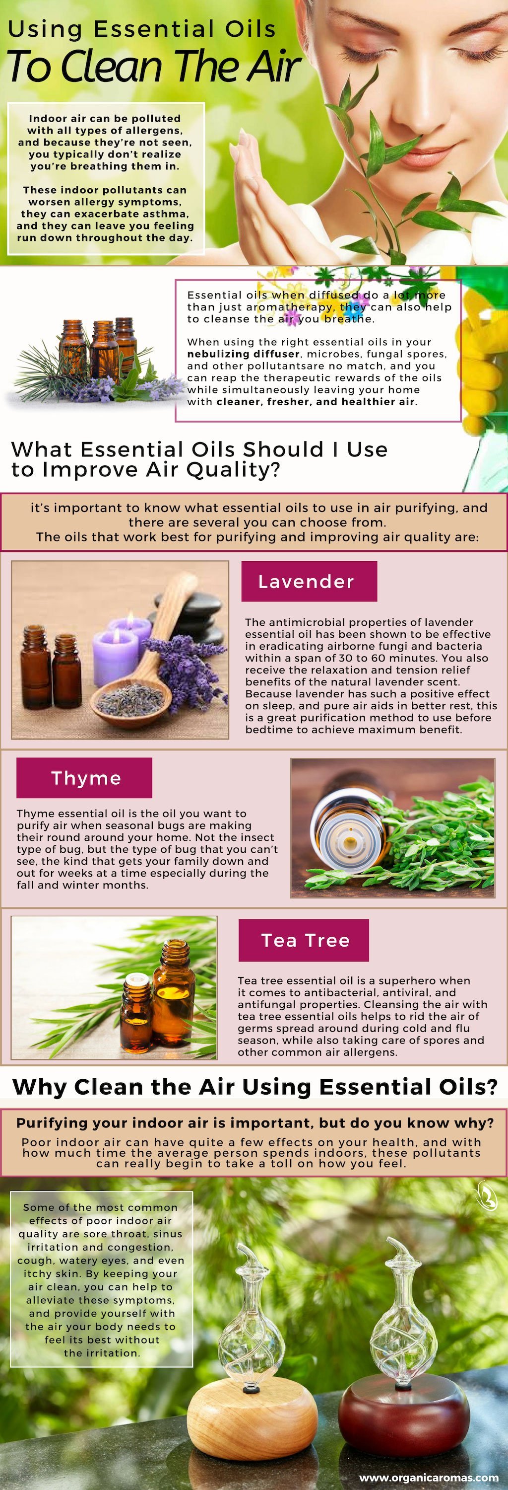 Using Essential Oils to Clean the Air 