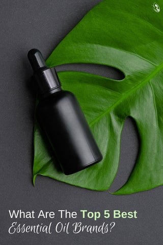 What Are The Top 5 Best Essential Oil Brands?