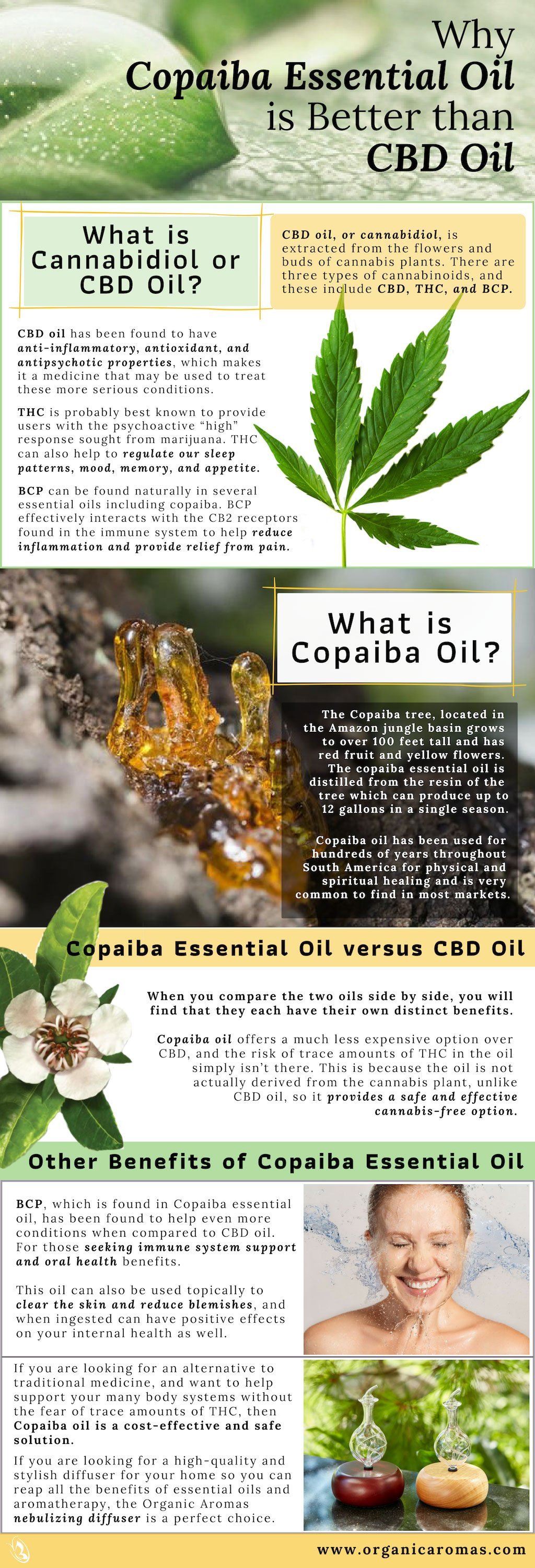 Why Copaiba Essential Oil is Better than CBD Oil