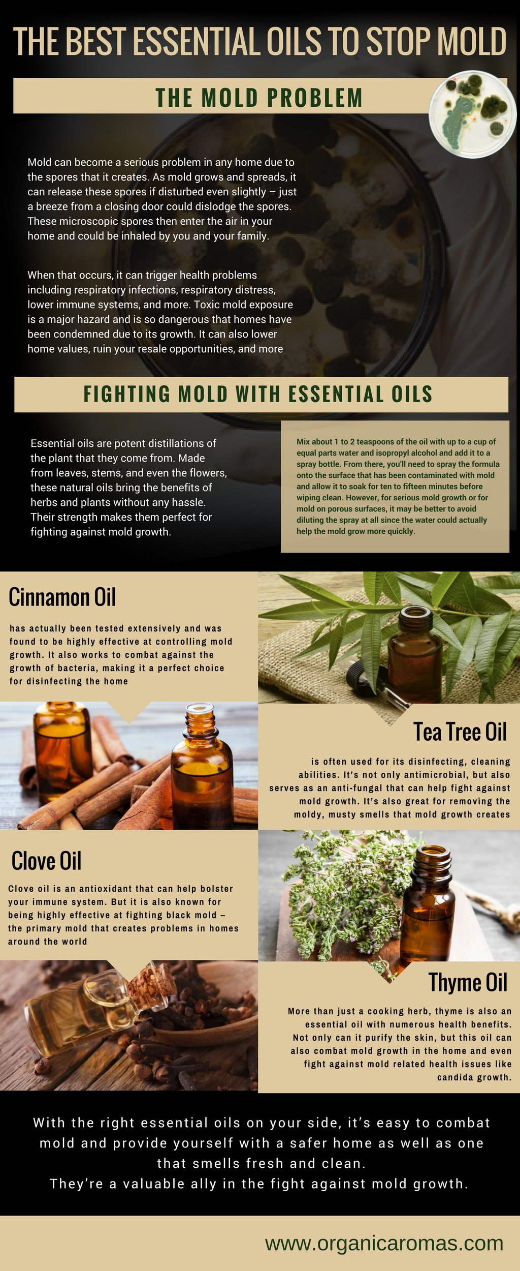 Essential Oils to Stop Mold Info-graphic